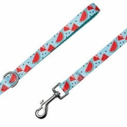 Zesty Fruit Dog Leash With Comfortable Padded Handle -Dog & Cat Store 1150260043 3 72d12cd0 7d46 40ec 8829 94f45d1405a0