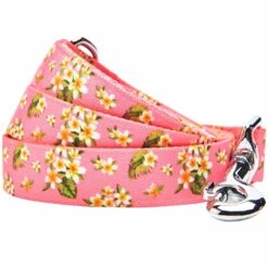 Tropical Yellow Plumeria Flower Dog Leash For Stylish Walks 9 Tropical Yellow Plumeria Flower Dog Leash For Stylish Walks -Dog & Cat Store 1150263044 1