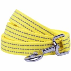 Better Basics Reflective Dog Leash For Night Safety -Dog & Cat Store 1150271049 1