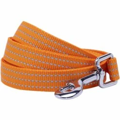 Better Basics Reflective Dog Leash For Night Safety -Dog & Cat Store 1150276044 1