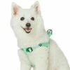Classic Solid Color Adjustable Dog Harness, Green For Pets -Dog & Cat Store 1160101046 1