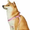 Classic Solid Color Adjustable Dog Harness Pink Red -Dog & Cat Store 1160102043 3
