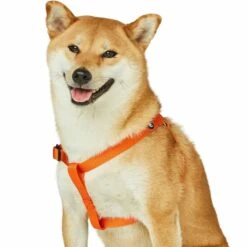 Classic Solid Color Adjustable Dog Harness, Yellow/Orange -Dog & Cat Store 1160103040 2