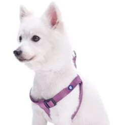 Classic Solid Color Adjustable Dog Harness, Purple Design 13 Classic Solid Color Adjustable Dog Harness, Purple Design -Dog & Cat Store 1160106041 1