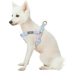 Soft Touch Dotted Velvet Dog Harness For Chic Comfort -Dog & Cat Store 1160202040 1