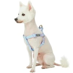 Soft Touch Dotted Velvet Dog Harness For Chic Comfort -Dog & Cat Store 1160202040 2