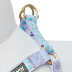 Soft Touch Dotted Velvet Dog Harness For Chic Comfort -Dog & Cat Store 1160202040 4