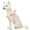 Soft Touch Dotted Velvet Dog Harness For Chic Comfort -Dog & Cat Store 1160205041 1 7dd44adb a951 4ba4 a156 087a3d429084