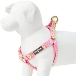 Soft Touch Dotted Velvet Dog Harness For Chic Comfort -Dog & Cat Store 1160205041 3 ff5beb34 93d2 4d3c 87a5 a8ec6fbee111