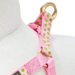 Soft Touch Dotted Velvet Dog Harness For Chic Comfort -Dog & Cat Store 1160205041 4 97cb0f77 b2d1 4a4a bcee 0ce5ae0d0e99