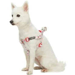 Cherry Blossom Dog Harness For Stylish Pet Walks