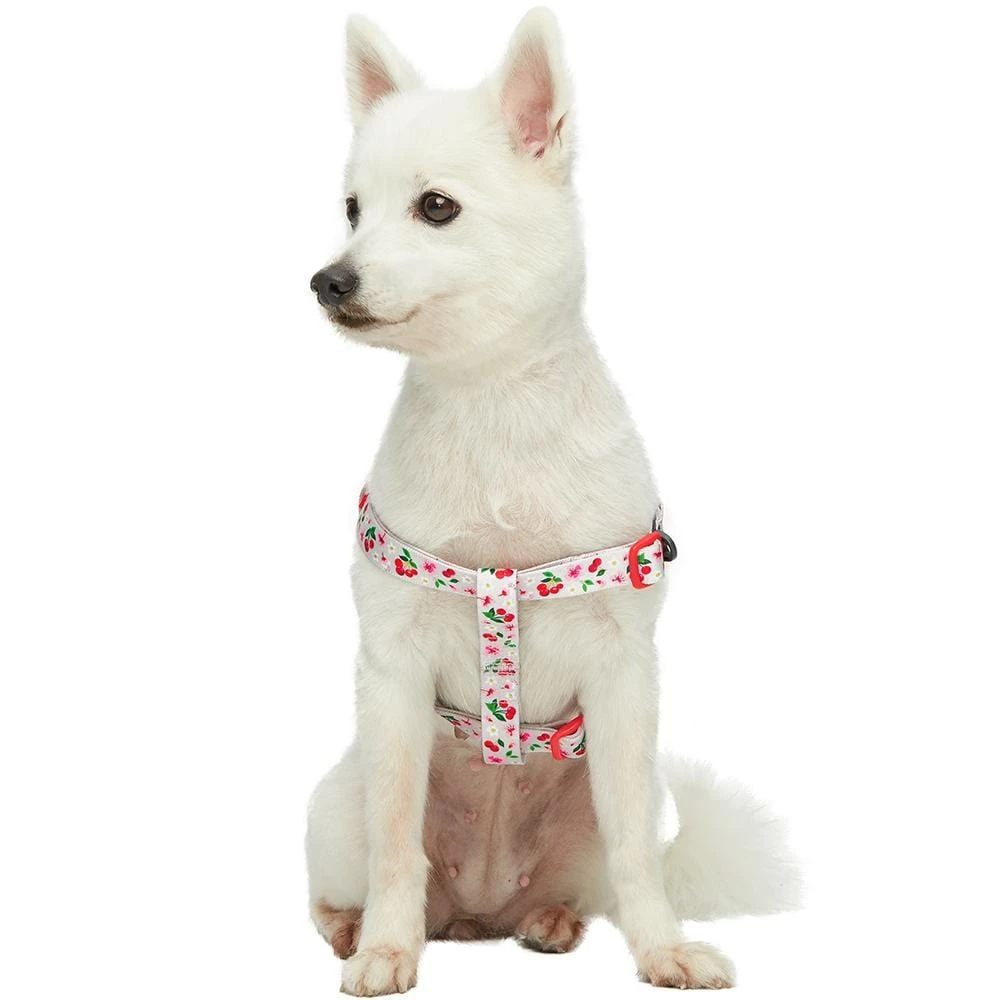 Cherry Blossom Dog Harness For Stylish Pet Walks 2 Cherry Blossom Dog Harness For Stylish Pet Walks - Image 2