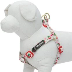 Cherry Blossom Dog Harness For Stylish Pet Walks 10 Cherry Blossom Dog Harness For Stylish Pet Walks -Dog & Cat Store 1160206048 3