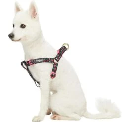 Cherry Blossom Dog Harness For Stylish Pet Walks 12 Cherry Blossom Dog Harness For Stylish Pet Walks -Dog & Cat Store 1160207045 1
