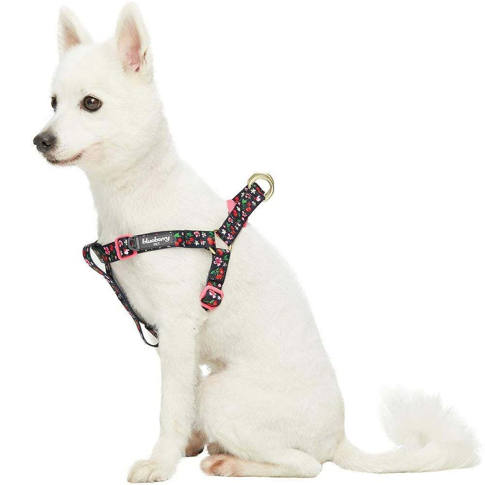 Cherry Blossom Dog Harness For Stylish Pet Walks 5 Cherry Blossom Dog Harness For Stylish Pet Walks - Image 5