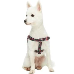 Cherry Blossom Dog Harness For Stylish Pet Walks 13 Cherry Blossom Dog Harness For Stylish Pet Walks -Dog & Cat Store 1160207045 2