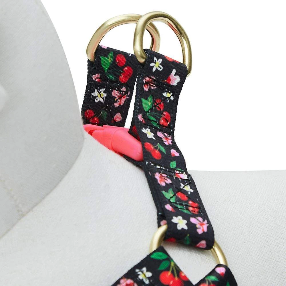 Cherry Blossom Dog Harness For Stylish Pet Walks 8 Cherry Blossom Dog Harness For Stylish Pet Walks - Image 8