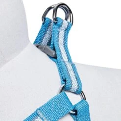 Back To Basics Reflective Step-in Dog Harness For Safety -Dog & Cat Store 1160208042 4 985bf691 d9b4 48b3 970a 70612040ca51