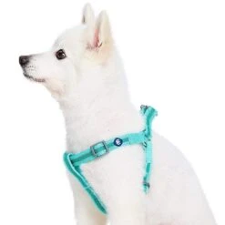 Back To Basics Reflective Step-in Dog Harness For Safety -Dog & Cat Store 1160209049 1