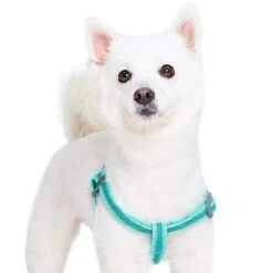 Back To Basics Reflective Step-in Dog Harness For Safety -Dog & Cat Store 1160209049 2 ca0d1d22 bc20 4f28 b776 587fd355ab59