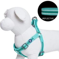 Back To Basics Reflective Step-in Dog Harness For Safety -Dog & Cat Store 1160209049 3 2ed4f29f 166b 4f1d 94b6 68176af8f334