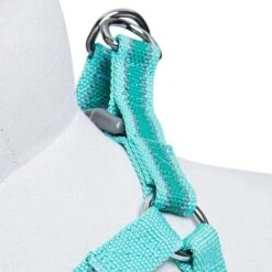 Back To Basics Reflective Step-in Dog Harness For Safety -Dog & Cat Store 1160209049 4 19742b3b 22c8 4bd2 a39d a0476574b3e2