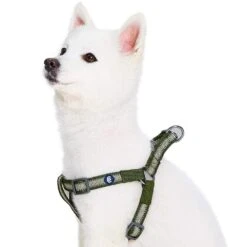 Back To Basics Reflective Step-in Dog Harness For Safety -Dog & Cat Store 1160210045 1