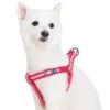 Back To Basics Reflective Step-in Dog Harness For Safety -Dog & Cat Store 1160212049 1