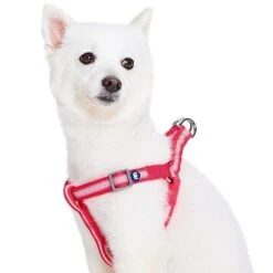 Back To Basics Reflective Step-in Dog Harness For Safety