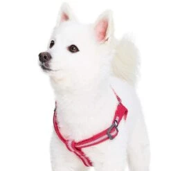 Back To Basics Reflective Step-in Dog Harness For Safety -Dog & Cat Store 1160212049 2 70e7b11d 860e 4601 9ccc 77f0704874f4