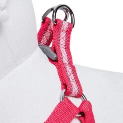 Back To Basics Reflective Step-in Dog Harness For Safety -Dog & Cat Store 1160212049 4 33d2d07e 2e54 458f 9968 86f2d348312e