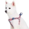 American Flag Dog Harness For Patriotic Pet Lovers 20 American Flag Dog Harness For Patriotic Pet Lovers -Dog & Cat Store 1160218041 1