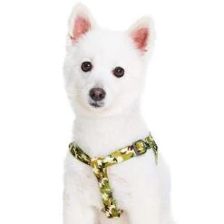 Camouflage Dog Harness For Safe And Comfortable Walks -Dog & Cat Store 1160219048 2