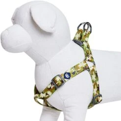 Camouflage Dog Harness For Safe And Comfortable Walks -Dog & Cat Store 1160219048 3
