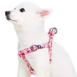 Camouflage Dog Harness For Safe And Comfortable Walks -Dog & Cat Store 1160220044 1