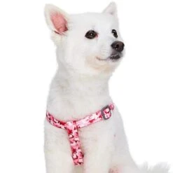 Camouflage Dog Harness For Safe And Comfortable Walks -Dog & Cat Store 1160220044 2