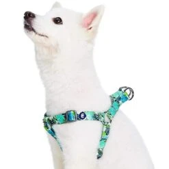 Summer Vacation Tropical Dog Harness Palm Leaves Design