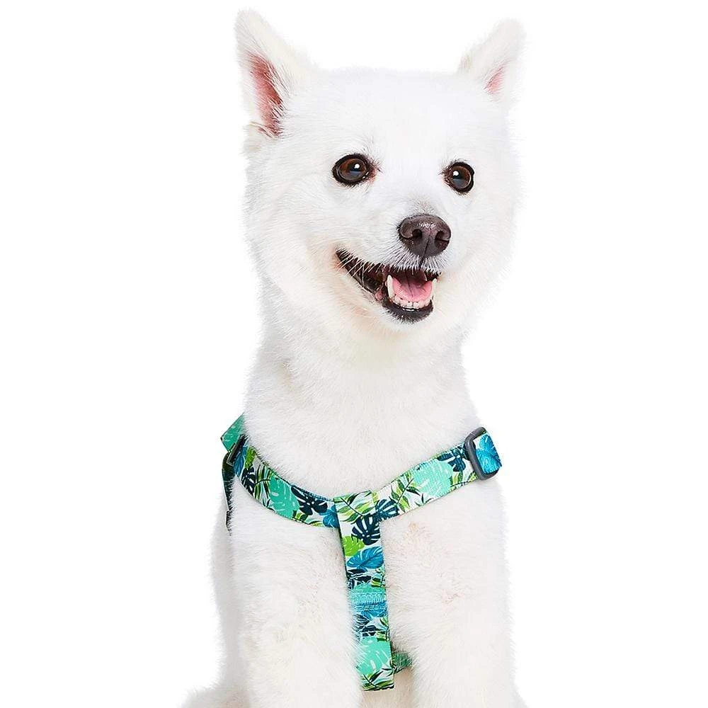 Summer Vacation Tropical Dog Harness Palm Leaves Design 3 Summer Vacation Tropical Dog Harness Palm Leaves Design - Image 3