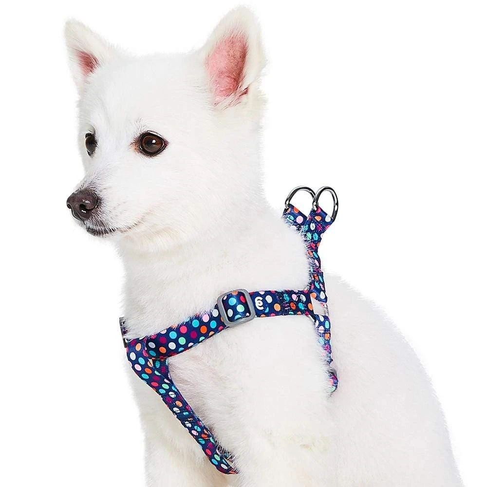 Rainbow Polka Dots Dog Harness For Stylish Pets 1 Rainbow Polka Dots Dog Harness For Stylish Pets