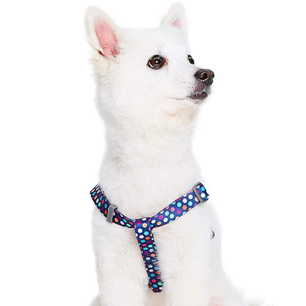 Rainbow Polka Dots Dog Harness For Stylish Pets 3 Rainbow Polka Dots Dog Harness For Stylish Pets - Image 3