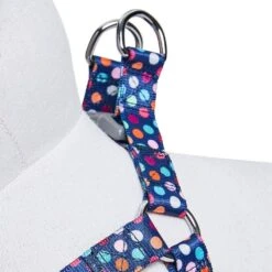 Rainbow Polka Dots Dog Harness For Stylish Pets 9 Rainbow Polka Dots Dog Harness For Stylish Pets -Dog & Cat Store 1160222048 4