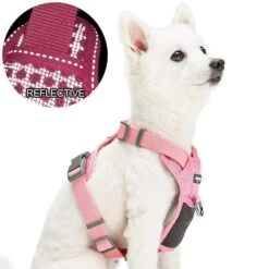 No Pull Reflective Mesh Padded Dog Harness Vest Adjustable -Dog & Cat Store 1160224042 6
