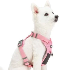 No Pull Reflective Mesh Padded Dog Harness Vest Adjustable -Dog & Cat Store 1160224042 6 2
