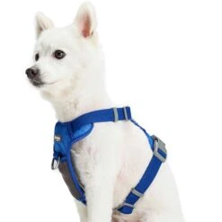 No Pull Reflective Mesh Padded Dog Harness Vest Adjustable -Dog & Cat Store 1160225049 6 2
