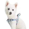 Spring Scent Inspired Garden Floral Dog Harness For Pets -Dog & Cat Store 1160228040 4
