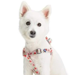 Spring Scent Inspired Garden Floral Dog Harness For Pets -Dog & Cat Store 1160229047 4