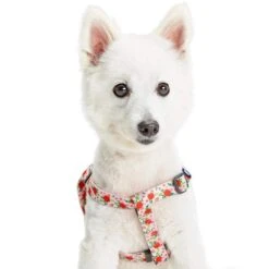 Spring Scent Inspired Garden Floral Dog Harness For Pets -Dog & Cat Store 1160229047 5