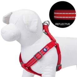 Back To Basics Reflective Step-in Dog Harness For Safety -Dog & Cat Store 1160230043 1