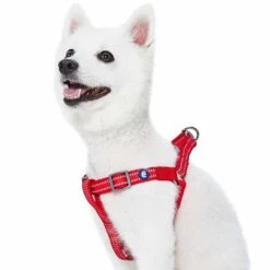 Back To Basics Reflective Step-in Dog Harness For Safety -Dog & Cat Store 1160230043 4