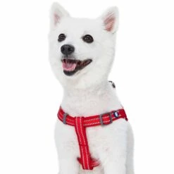 Back To Basics Reflective Step-in Dog Harness For Safety -Dog & Cat Store 1160230043 5